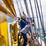 crew working on ropes